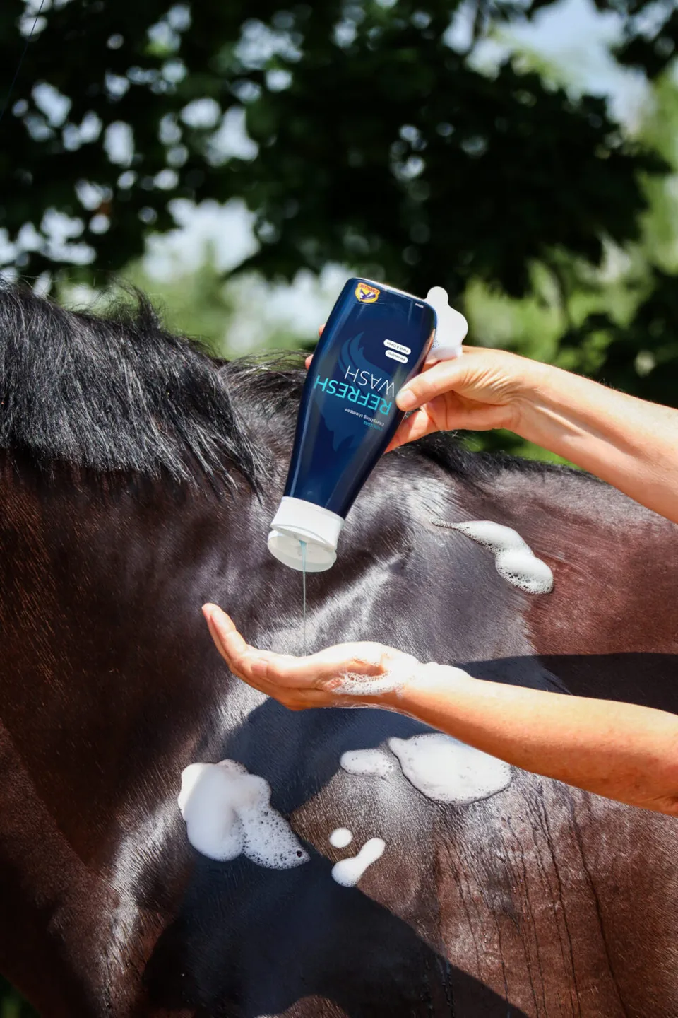 Cavalor Refresh Wash shampooing cheval eucalyptus
