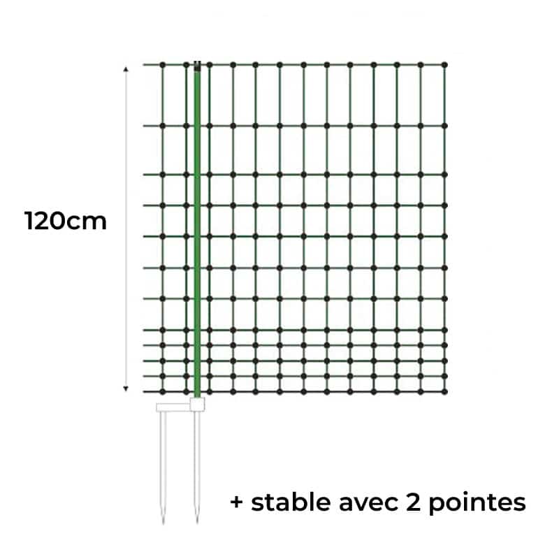 Cot Cot House Enclos clôture filet poules 50 m