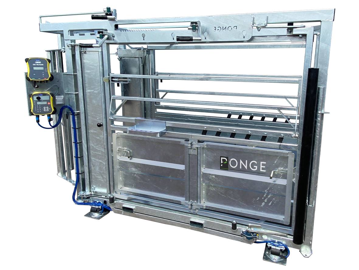 Ponge Contention fixe Cage de contention bovins acier