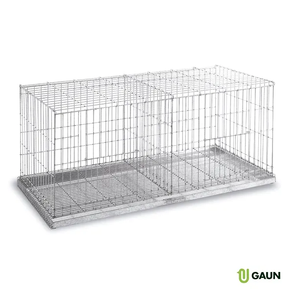 Gaun Pigeons cage exposition 2 cases pigeons métal