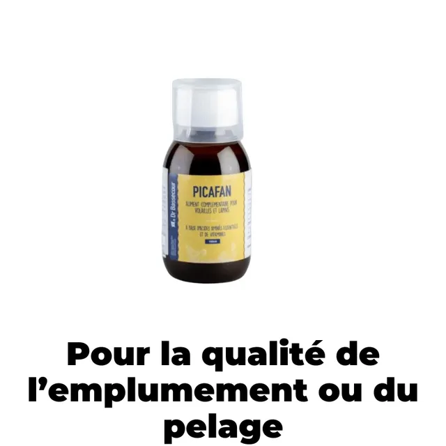 Cot Cot House PICAFAN soin plumage pelage poules