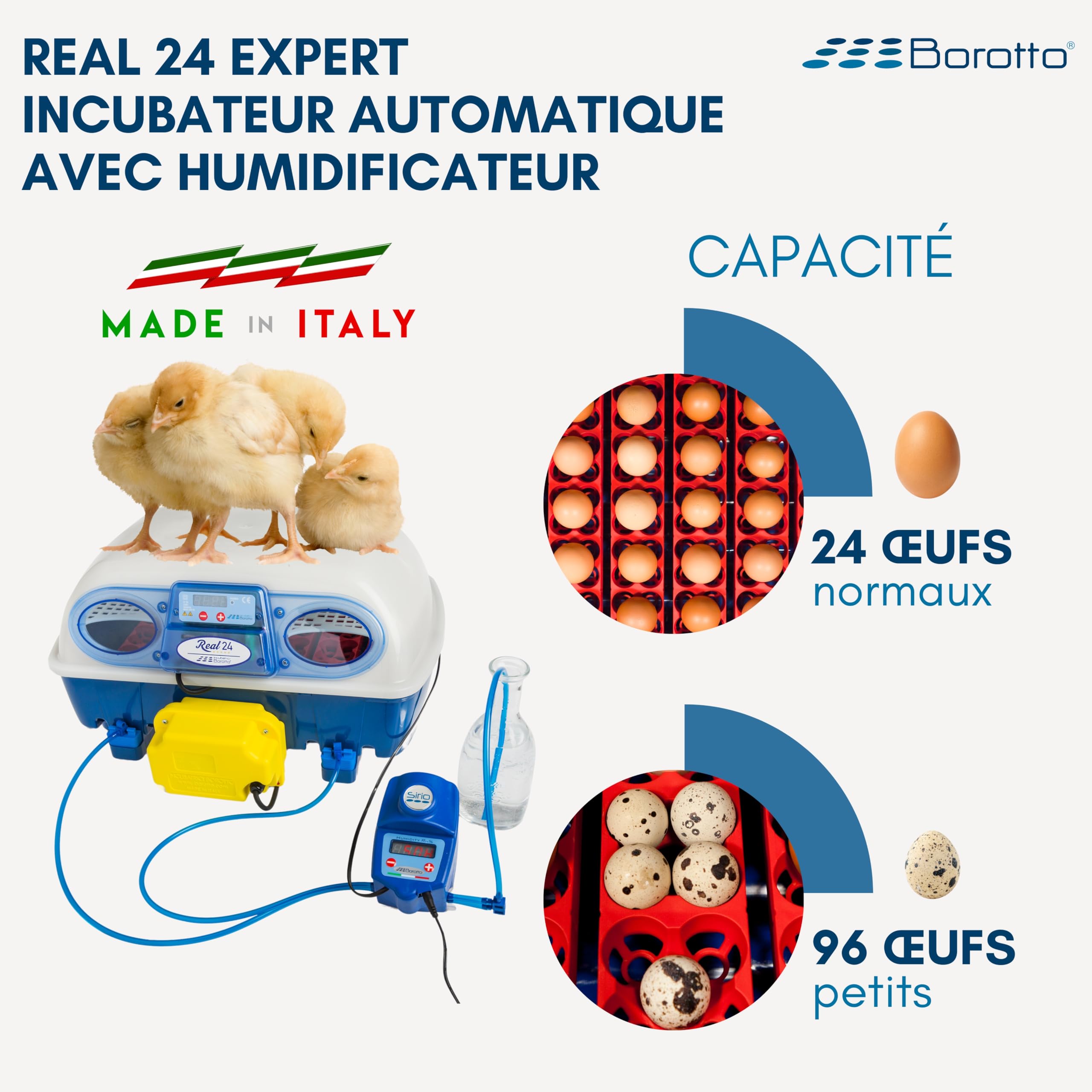 Borotto Real 24 Expert couveuse 24 œufs humidificateur Sirio