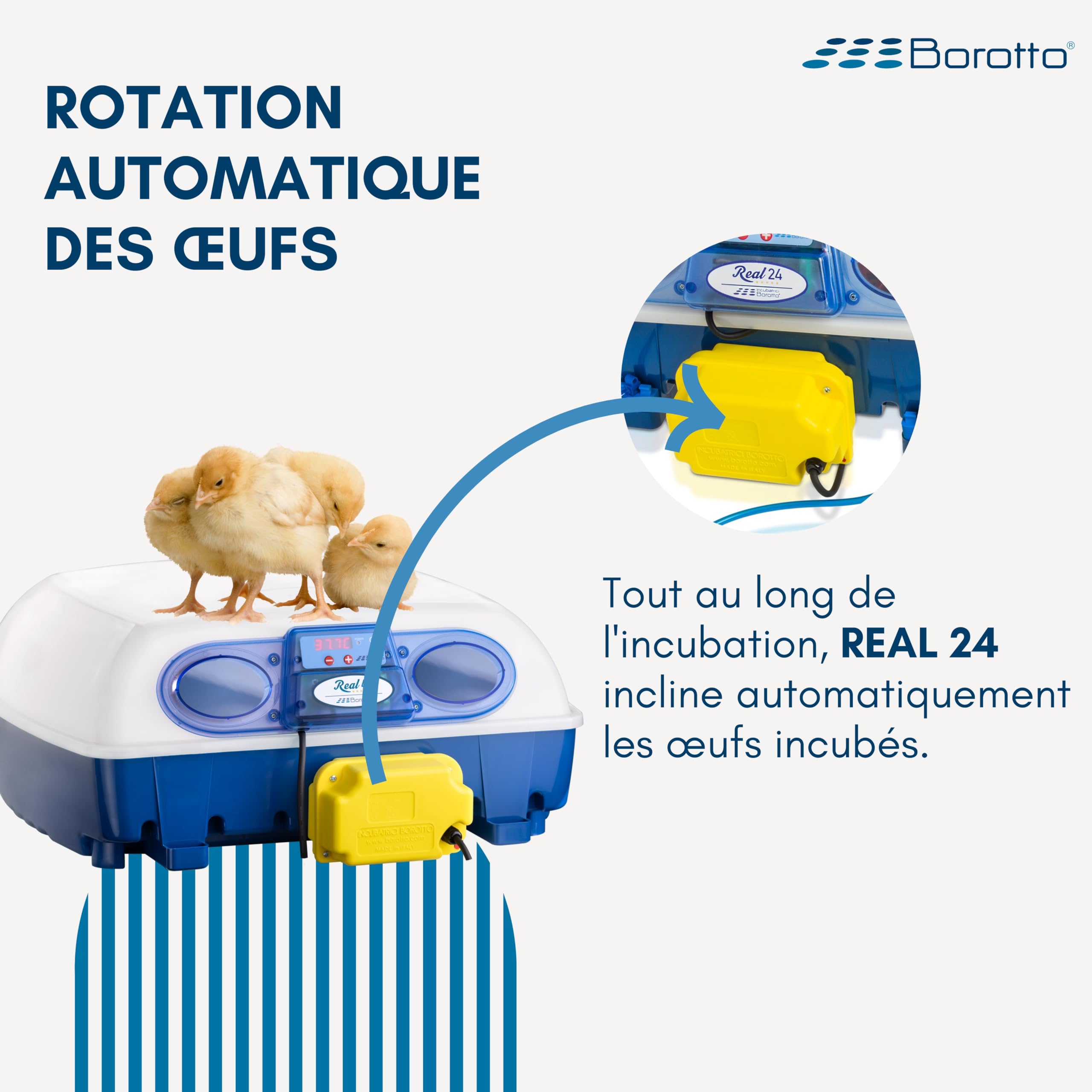Borotto Real 24 Expert couveuse 24 œufs humidificateur Sirio