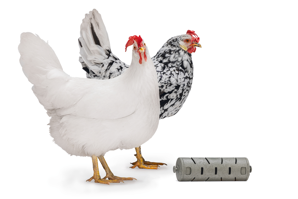 GAUN Volailles distributeur friandises 100% recyclé