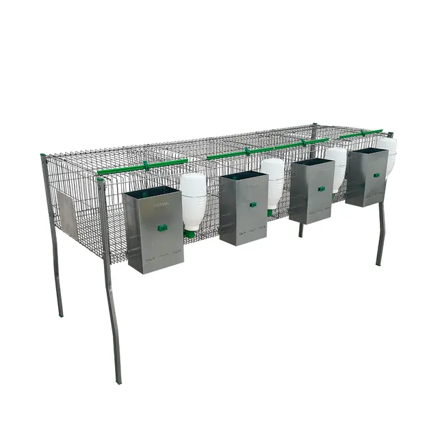 Gaun Lapins Cage Familial 4 Cases + Biberon