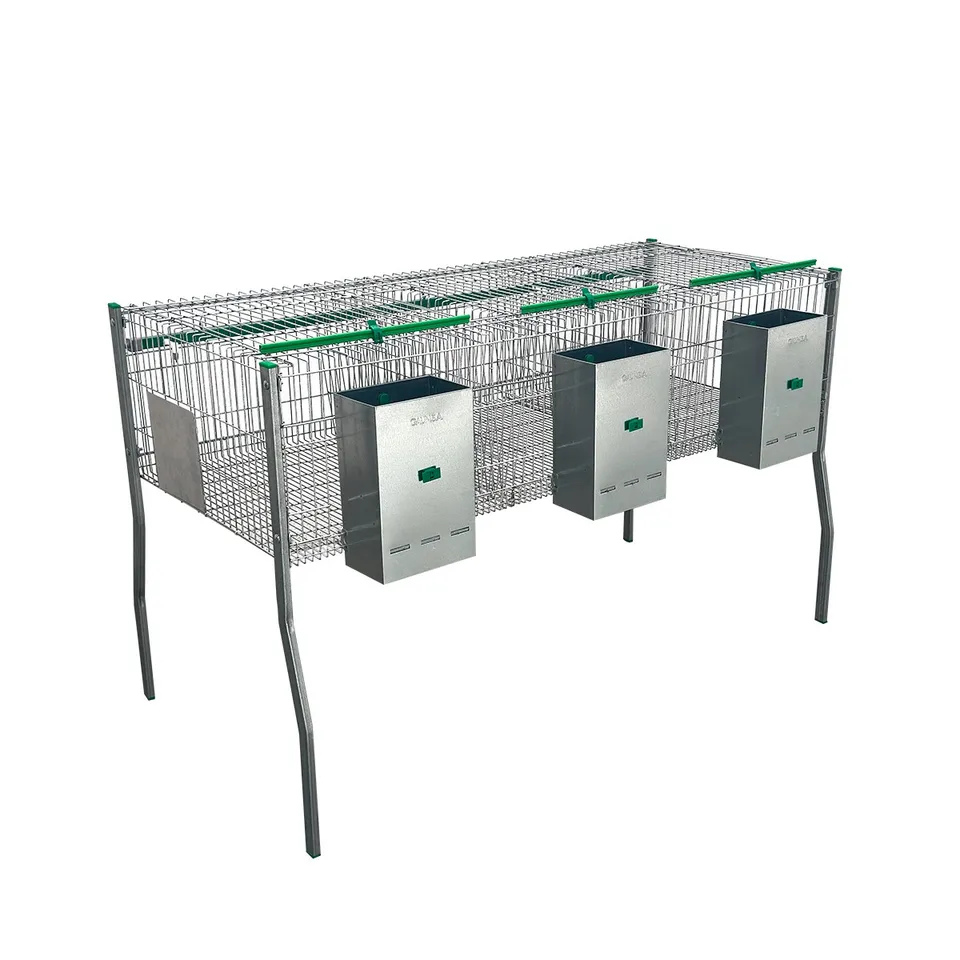 Gaun Lapins Cage Familiale 3 Compartiments + abreuvoir