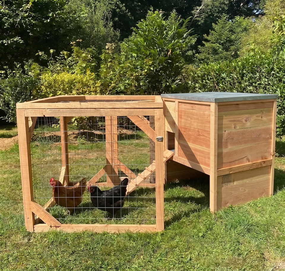Cot Cot House Houdan kit poulailler 4 poules volière bois