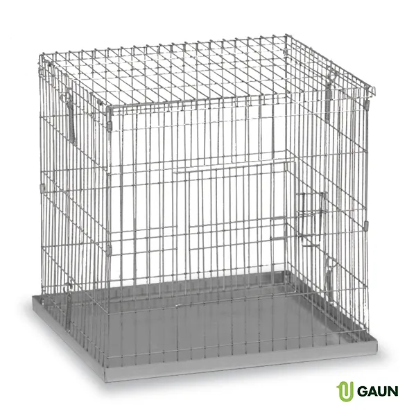Gaun Pigeons cage exposition 60x60 cm métal