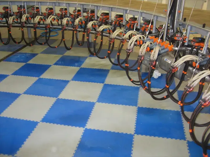 IDS IDEX dalle laiterie PVC clipsable antidérapante
