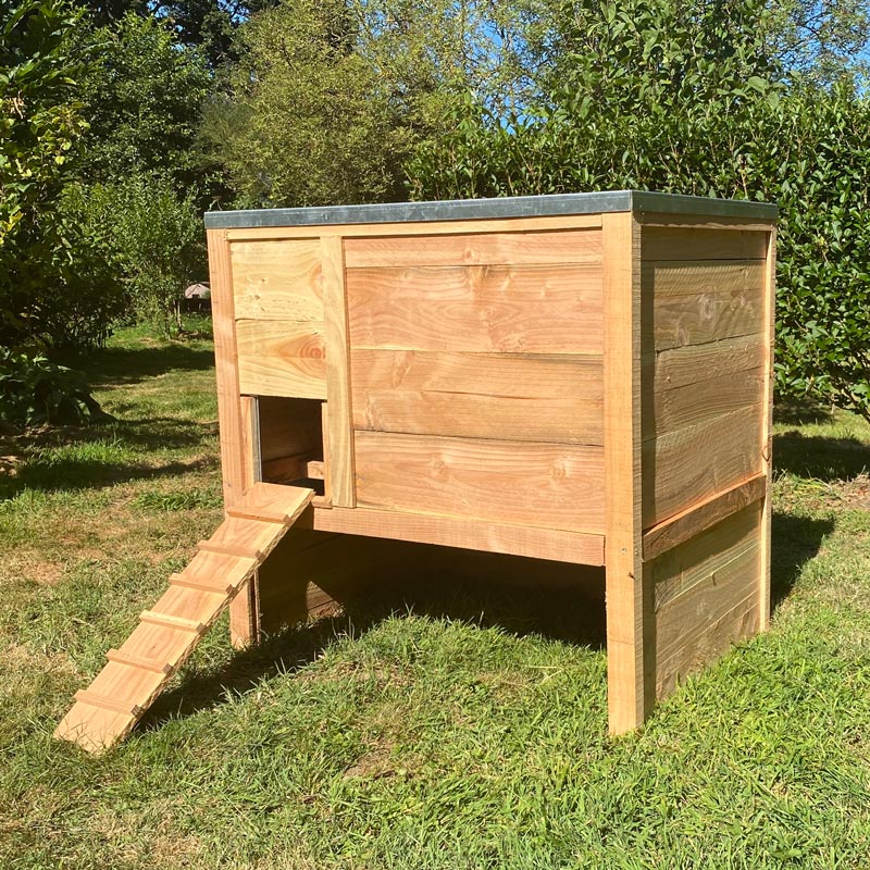 Cot Cot House Houdan poulailler 4 poules bois Douglas