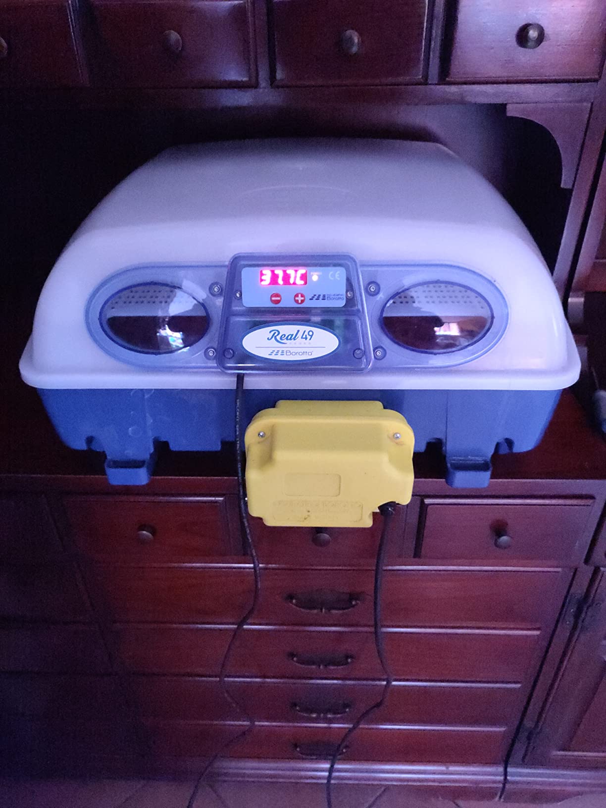 Borotto Real 24 couveuse automatique 24 œufs retournement auto