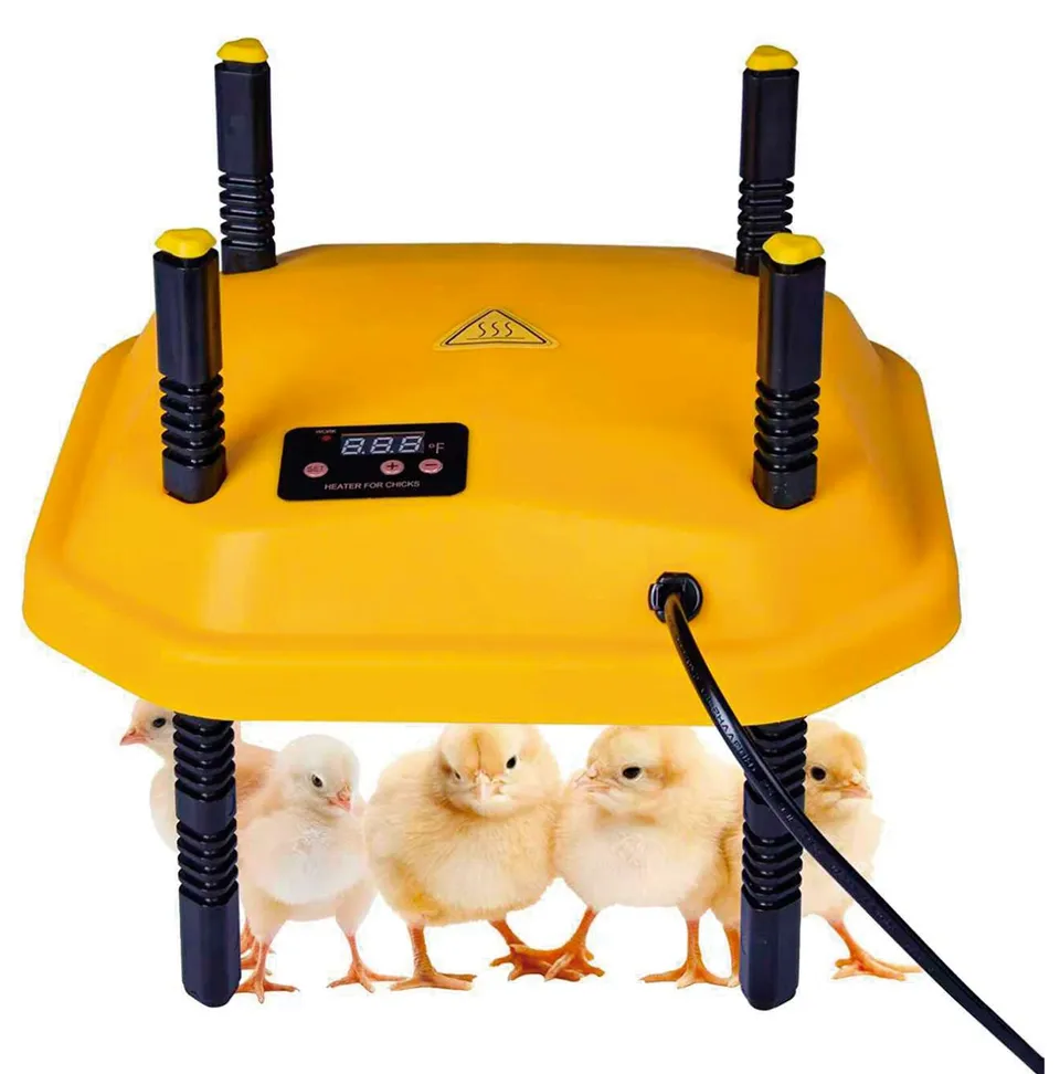 Gaun Volailles Plaque Chauffante Poussins 40 x 40 cm