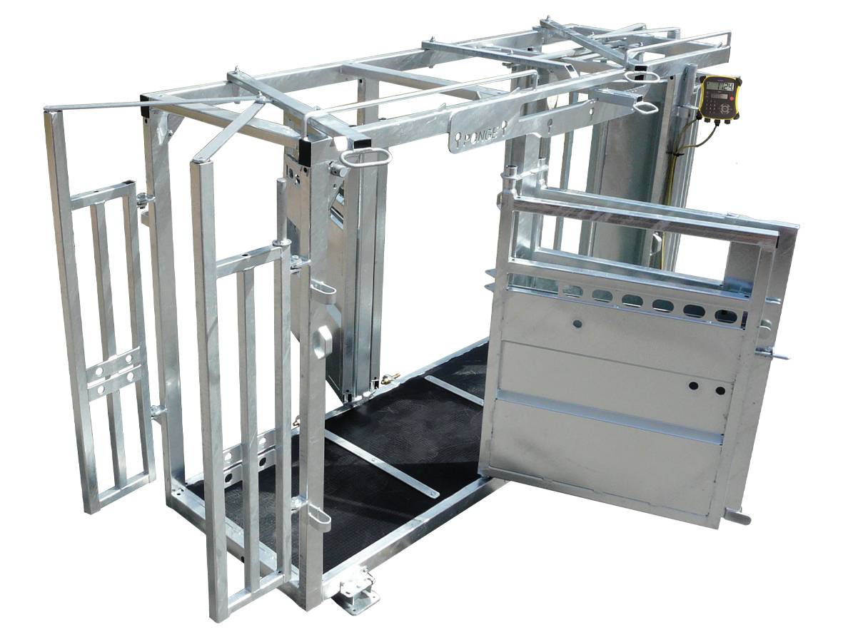 Ponge Contention fixe Cage de contention bovins acier