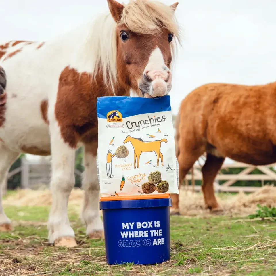 Cavalor Snacks Crunchies friandise cheval carotte