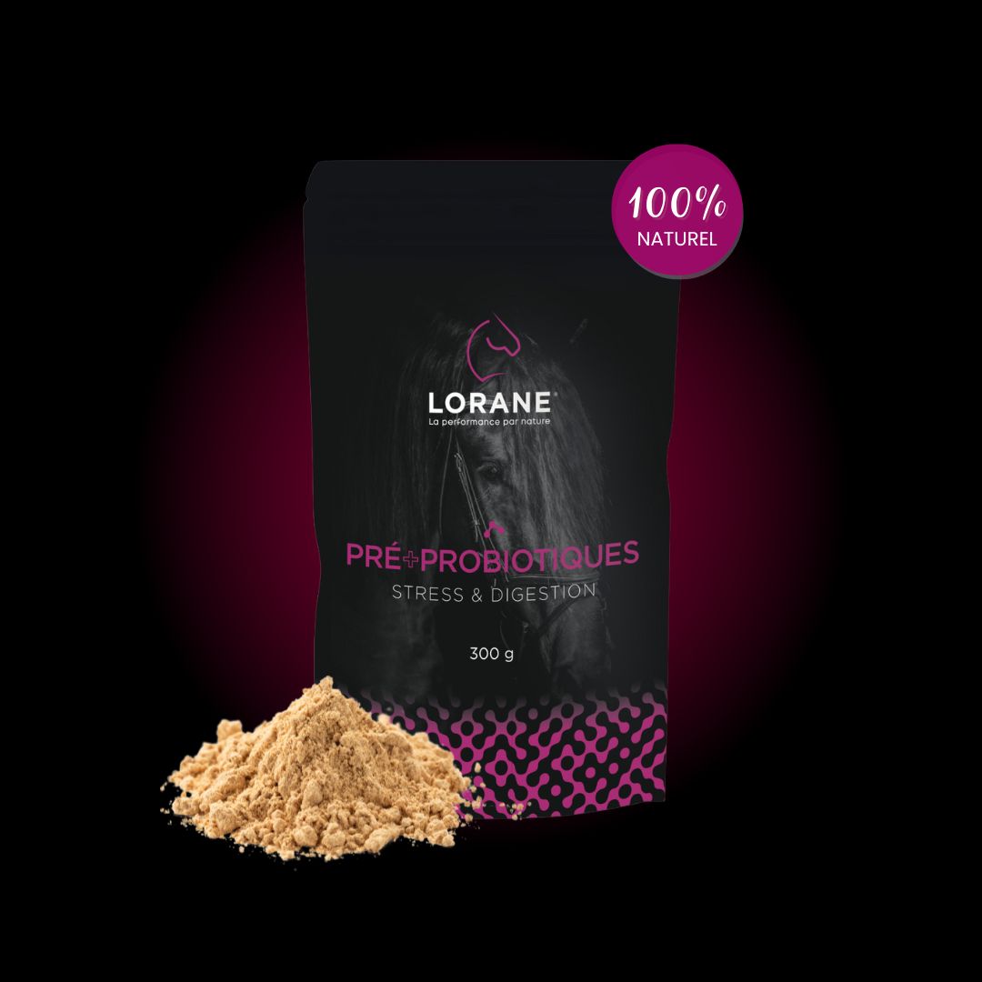 Lorane Pré Probiotiques complément cheval digestion