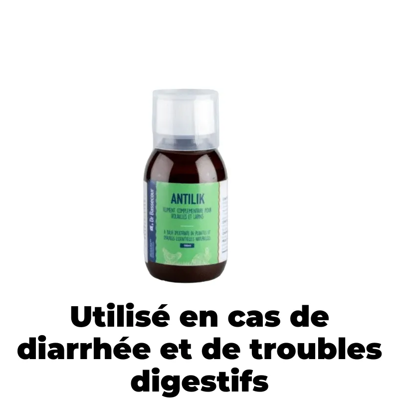 Cot Cot House Antilik complément poule diarrhée digestion