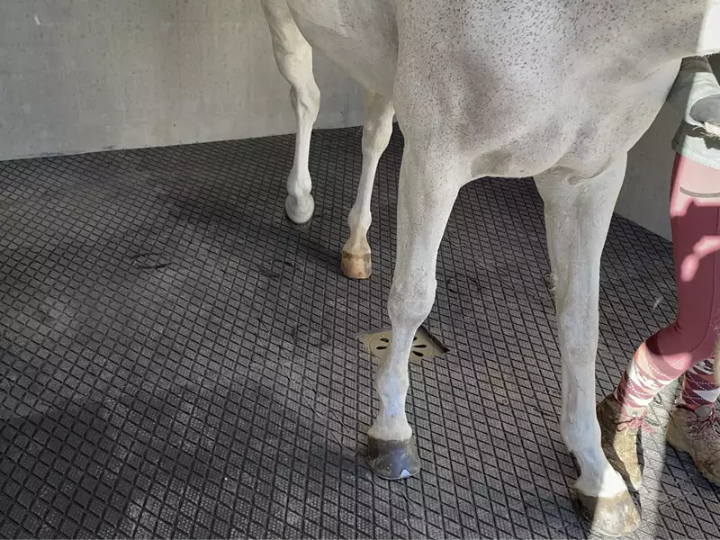 IDS CLIP SUPER dalle douche cheval caoutchouc losange
