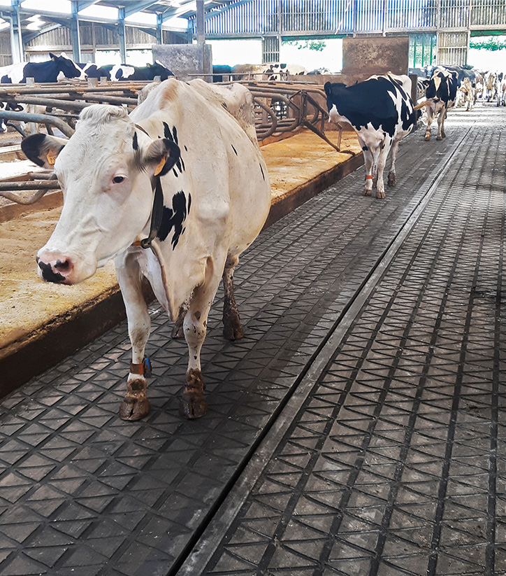 IDS ZIG ZAG tapis circulation vache caoutchouc rainuré