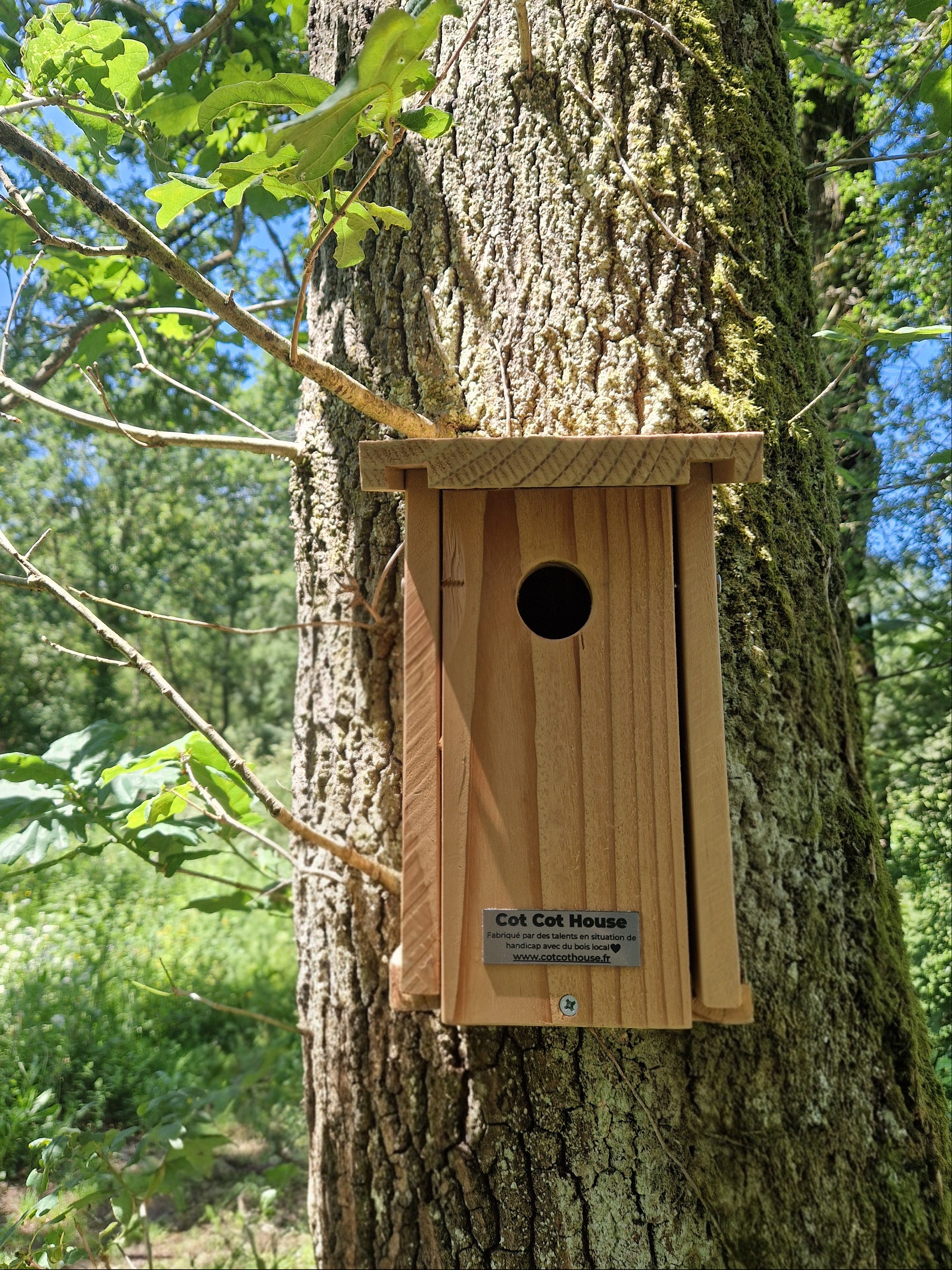Cot Cot House Nichoir oiseaux mésanges kit bois