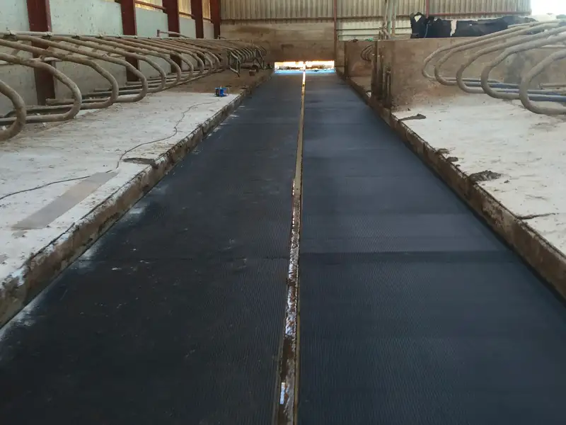 IDS 12-16 tapis couloir raclage vaches antidérapant