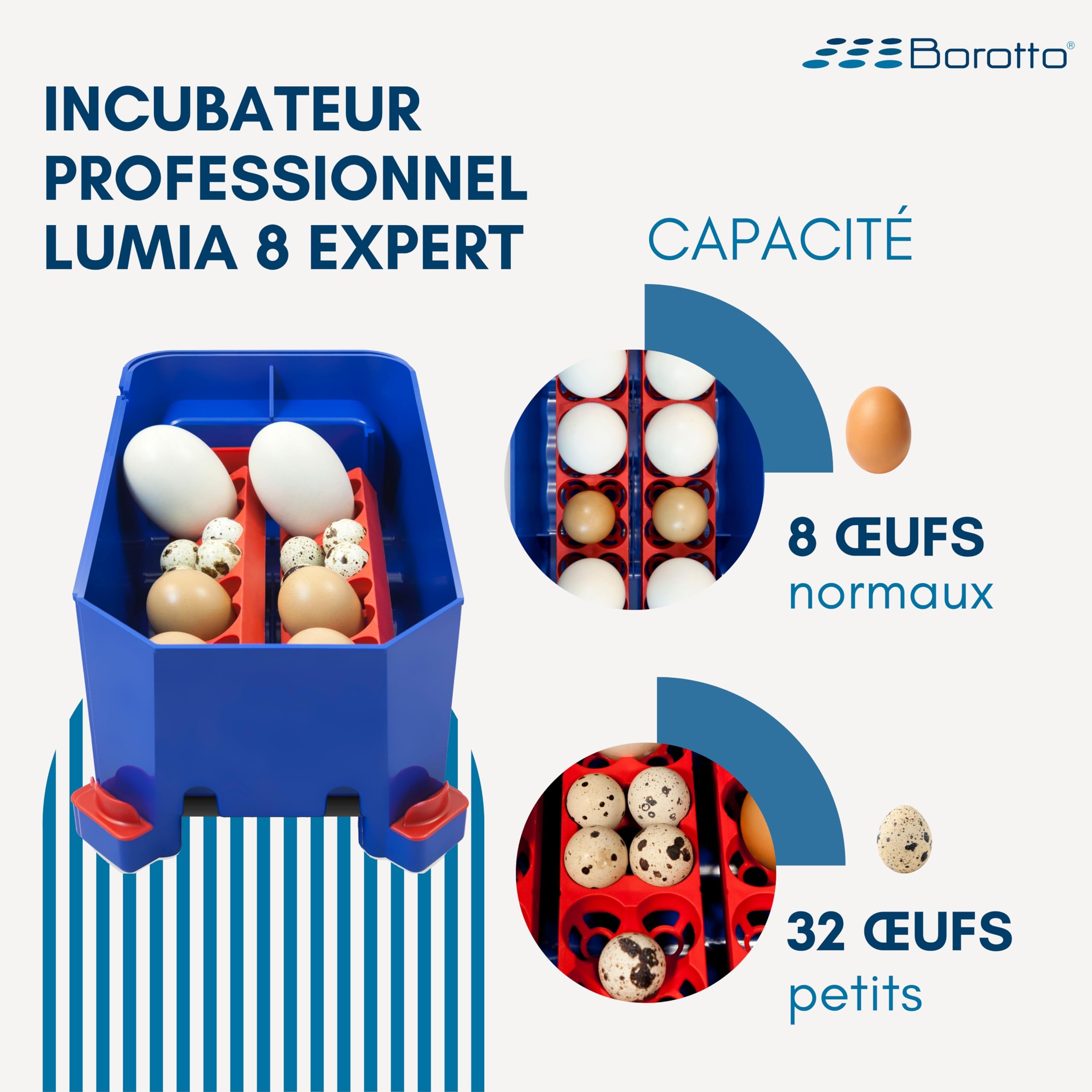 Borotto Lumia 8 Expert couveuse 8 œufs humidificateur Sirio