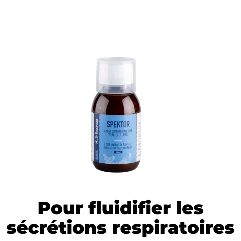 Cot Cot House Spektor soin respiratoire poules coryza