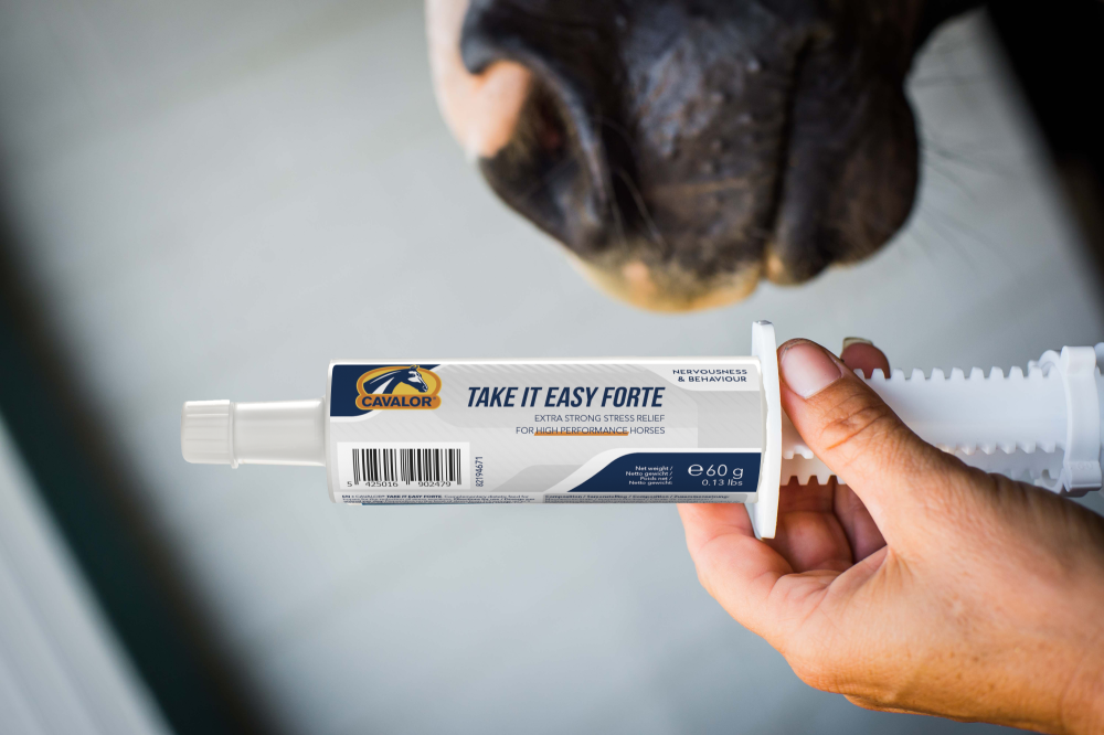 Cavalor Calming Take It Easy Forte pâte cheval seringue