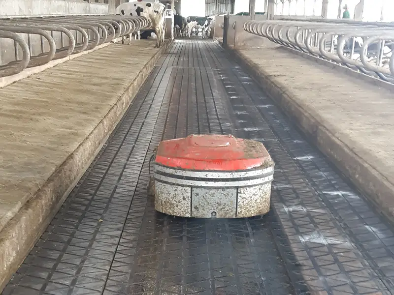 IDS ZIG ZAG tapis circulation vache caoutchouc rainuré