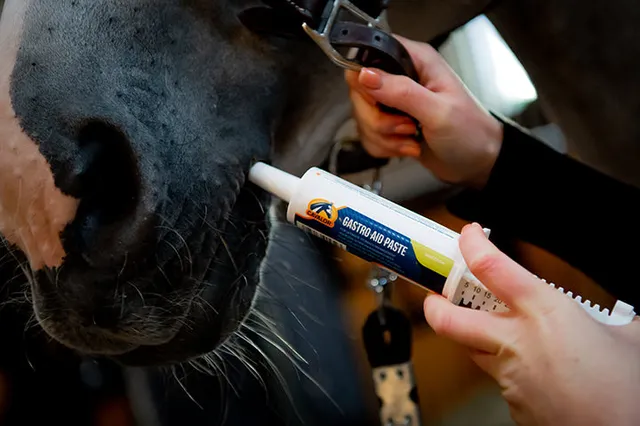 Cavalor Gastro Aid Paste pâte cheval estomac 60 ml
