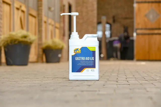 Cavalor Gastro Aid Liq liquide cheval estomac