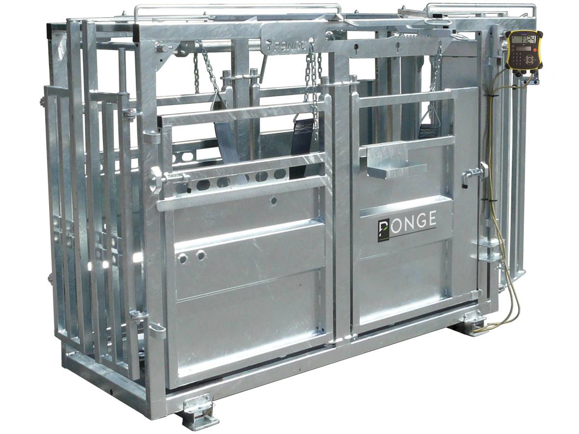 Ponge Contention fixe Cage de contention bovins acier