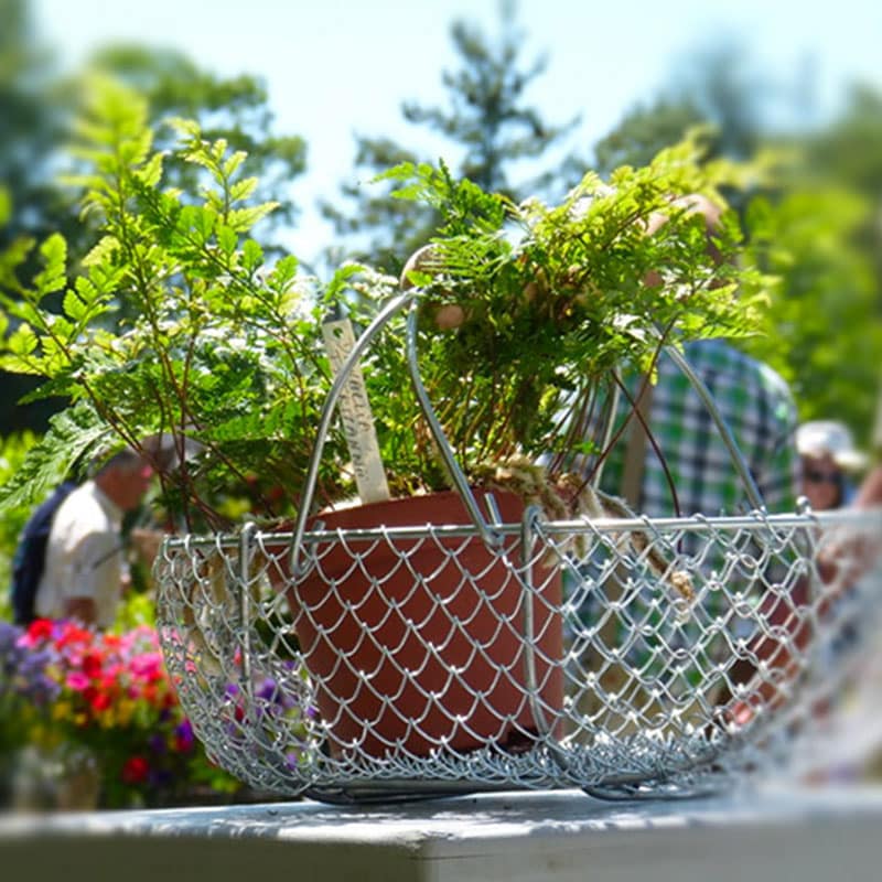 Cot Cot House Panier de Récolte 15L Métal Fabriqué Bretagne