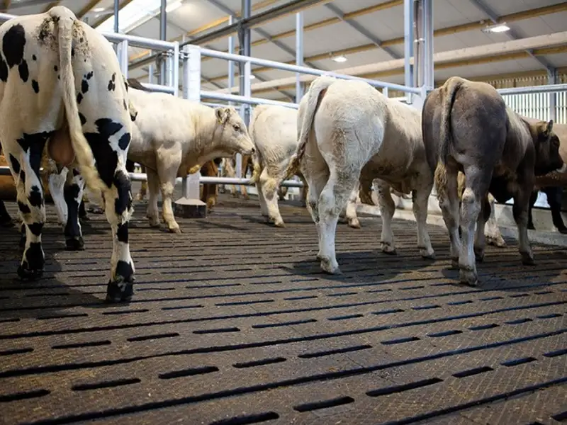 IDS Easy Fix tapis caillebotis béton vache caoutchouc
