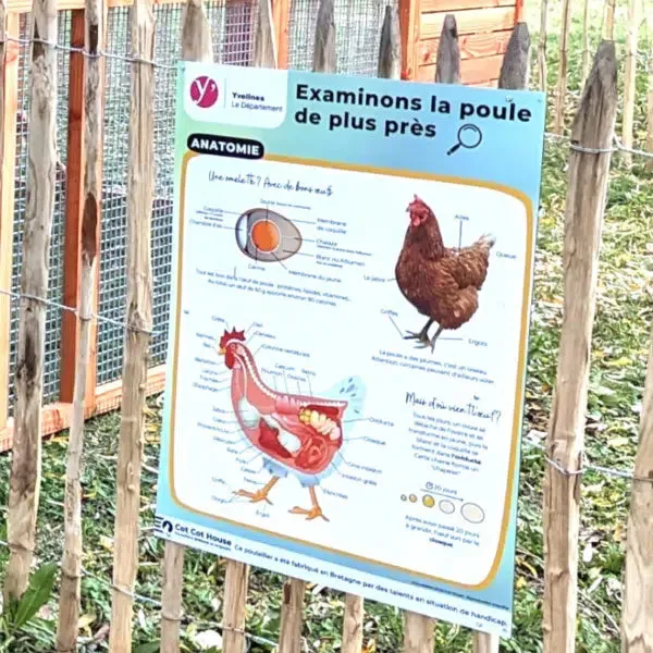 Cot Cot House PA6080-ANAT panneau affichage pédagogique dibon
