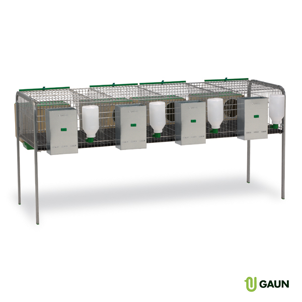 GAUN Lapins Cage Silleda 4 Nids Élevage Lapins