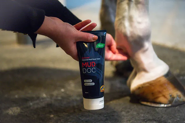 Cavalor Care MudDoc pommade cheval paturons