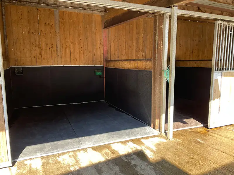 IDS Natura tapis box chevaux latex naturel 40 mm