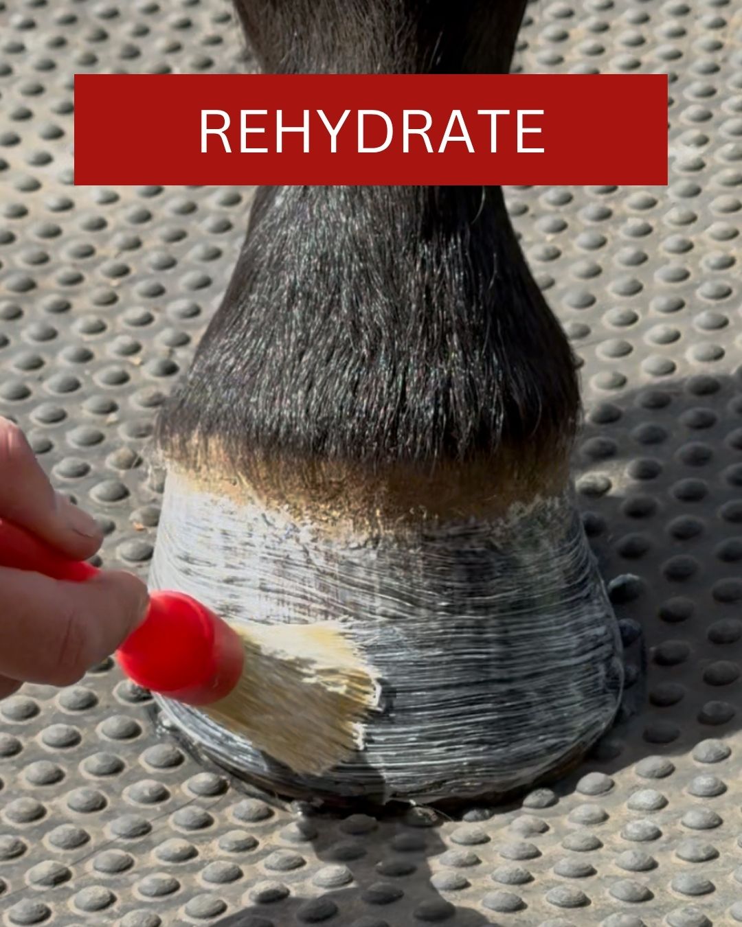 Red Horse Hoof Care HydroHoof soin sabot hydratant