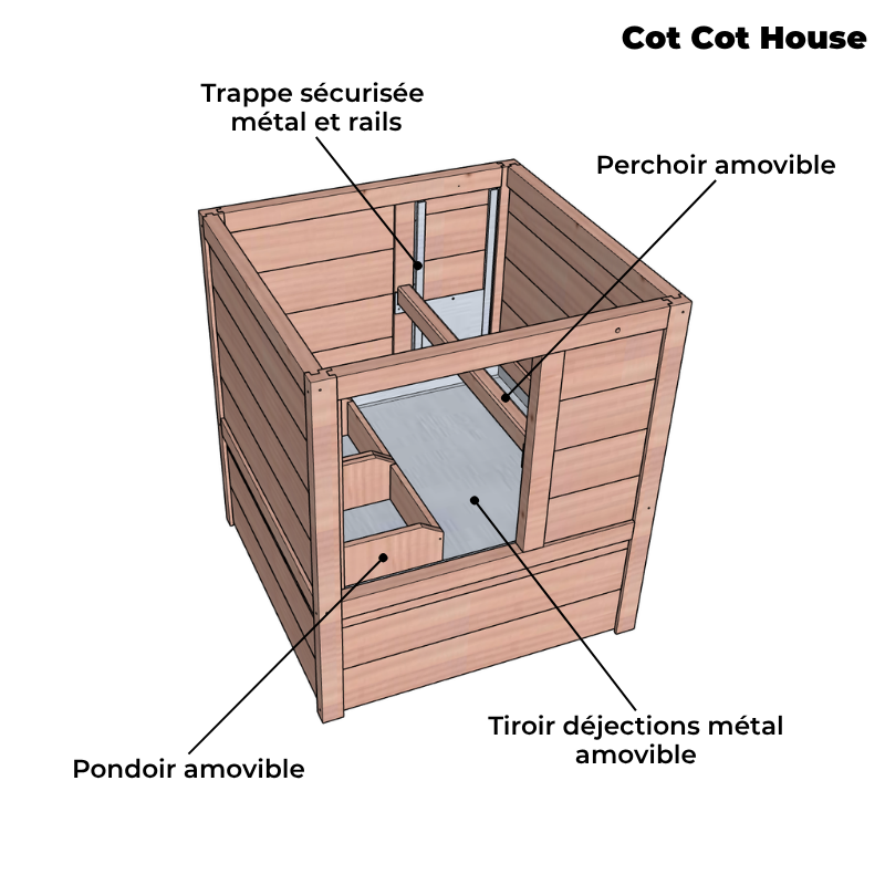 Cot Cot House Houdan poulailler 4 poules bois Douglas