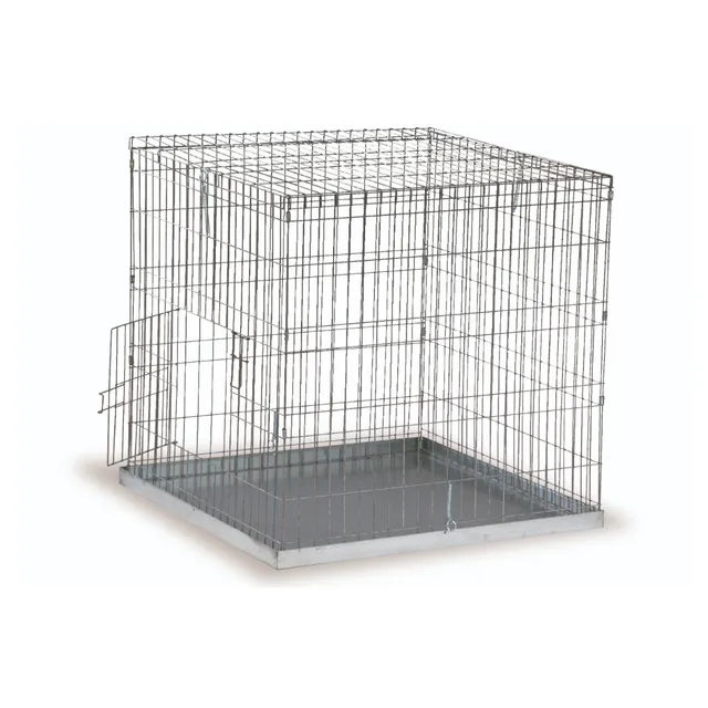 GAUN Volailles 80x80 cage exposition volaille