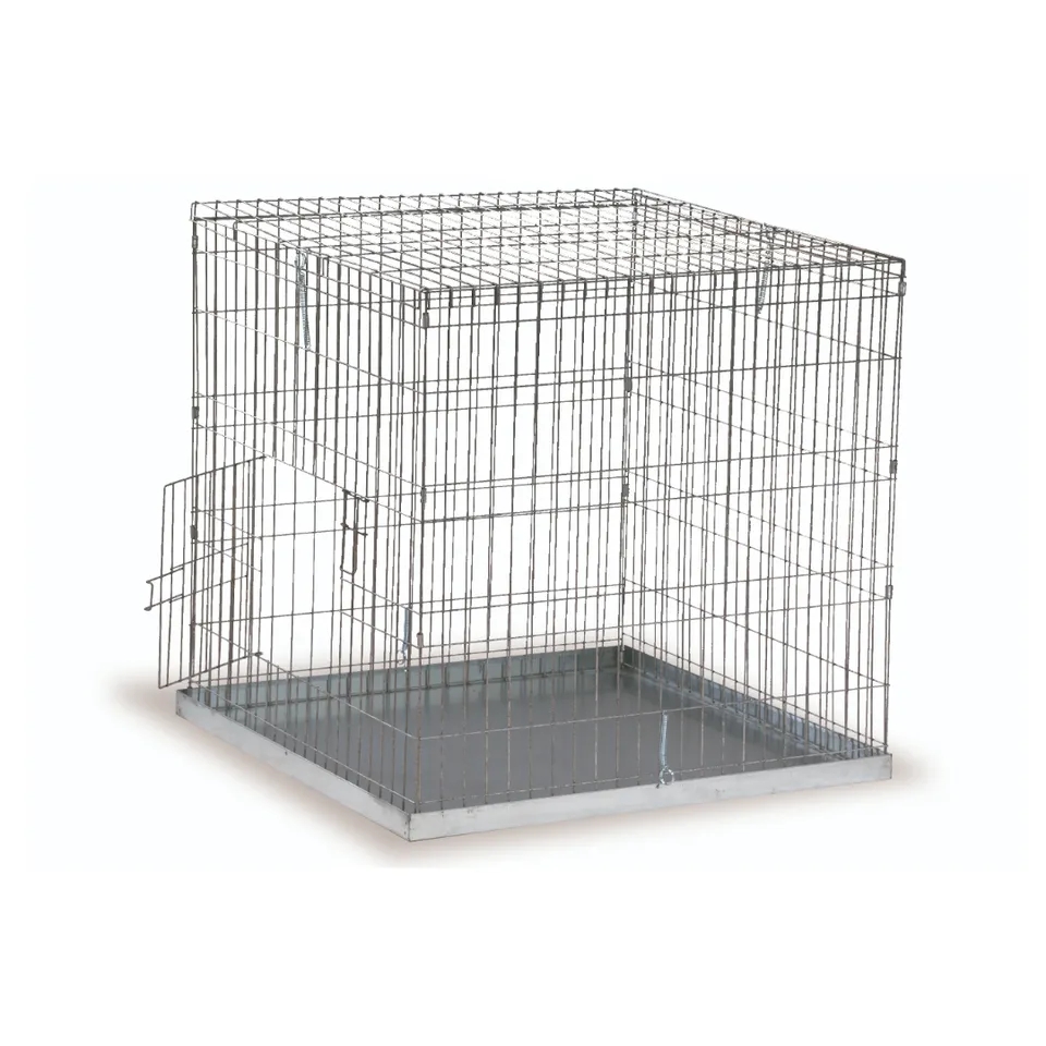 GAUN Volailles 80x80 cage exposition volaille