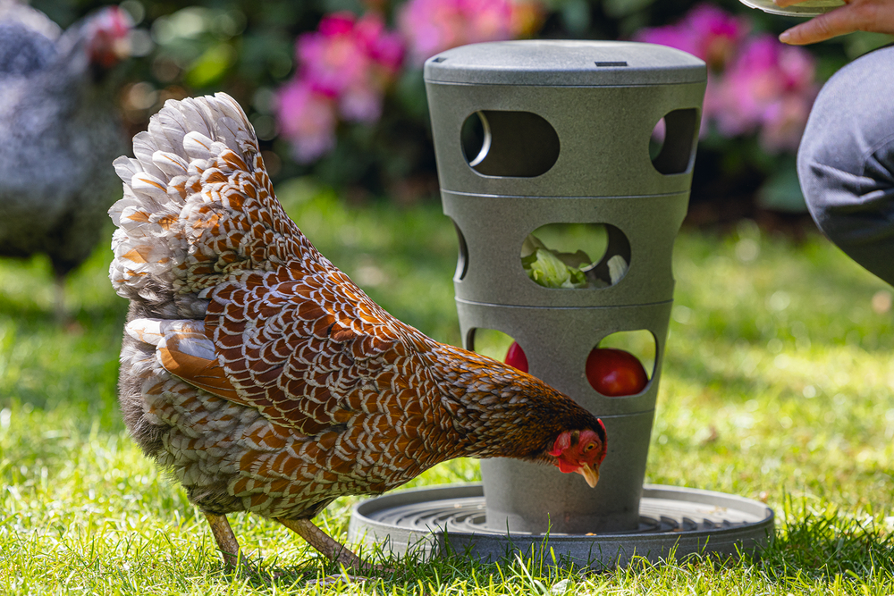 GAUN Volailles mangeoire tour poules 100% recyclé