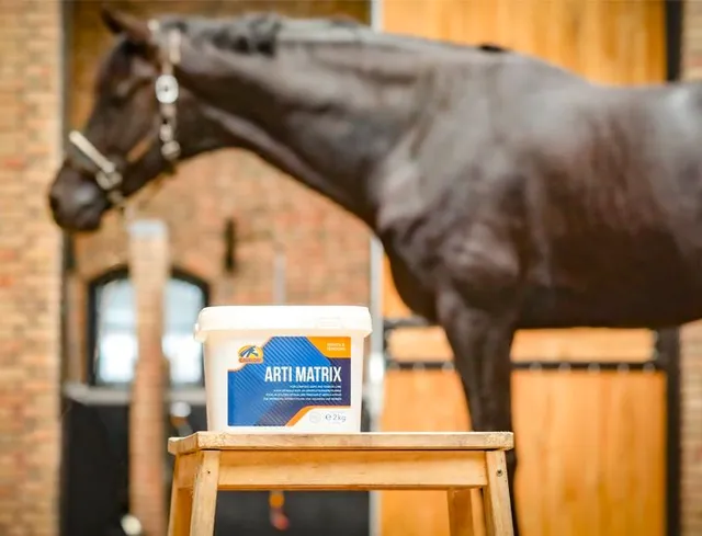 Cavalor Arti Matrix complément articulations cheval