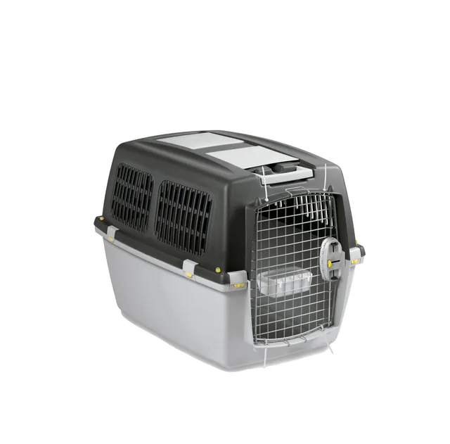 Gaun Bullterrier caisse transport chien moyen IATA