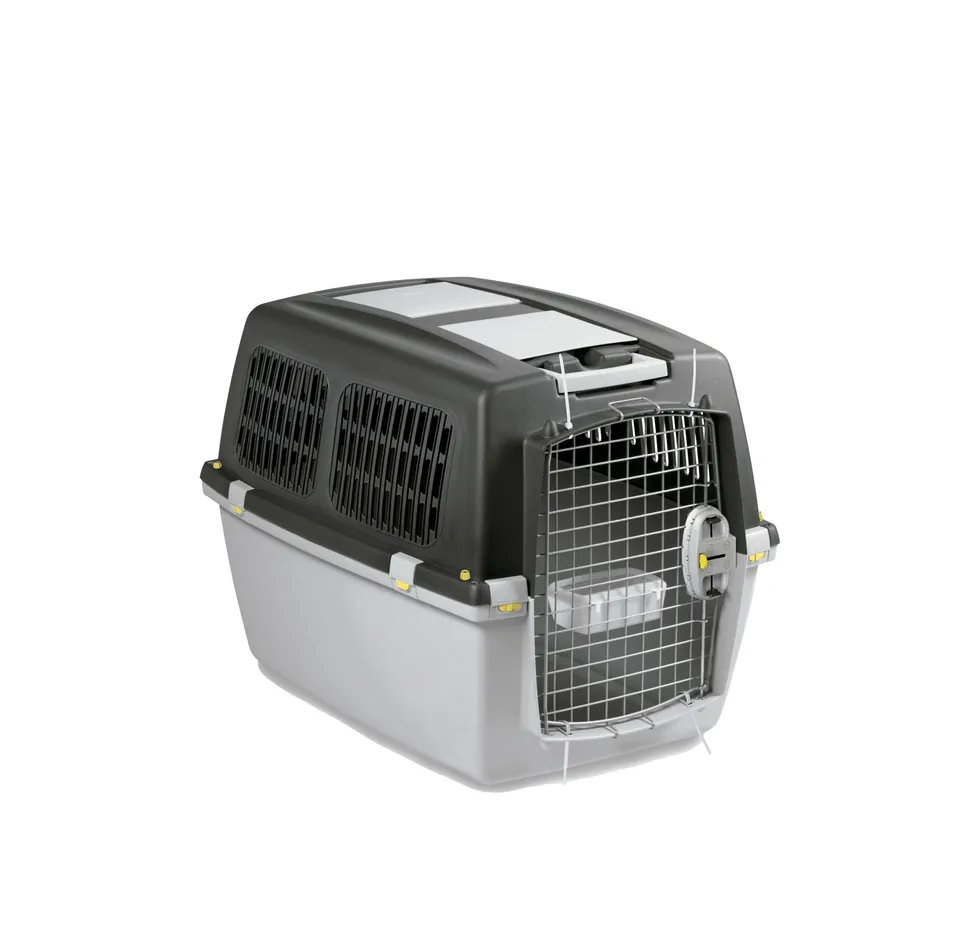 Gaun Bullterrier caisse transport chien moyen IATA