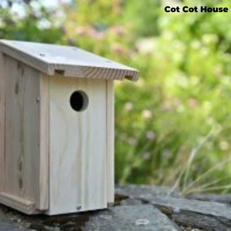 Cot Cot House Nichoir oiseaux mésanges kit bois