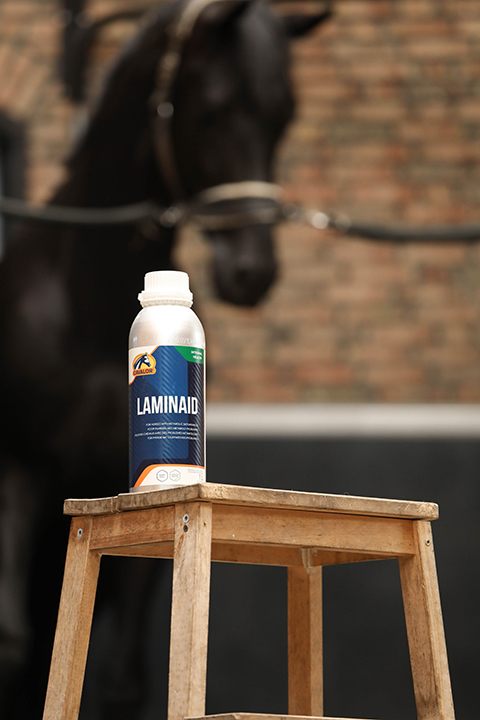 Cavalor Hooves LaminAid complément sabot cheval