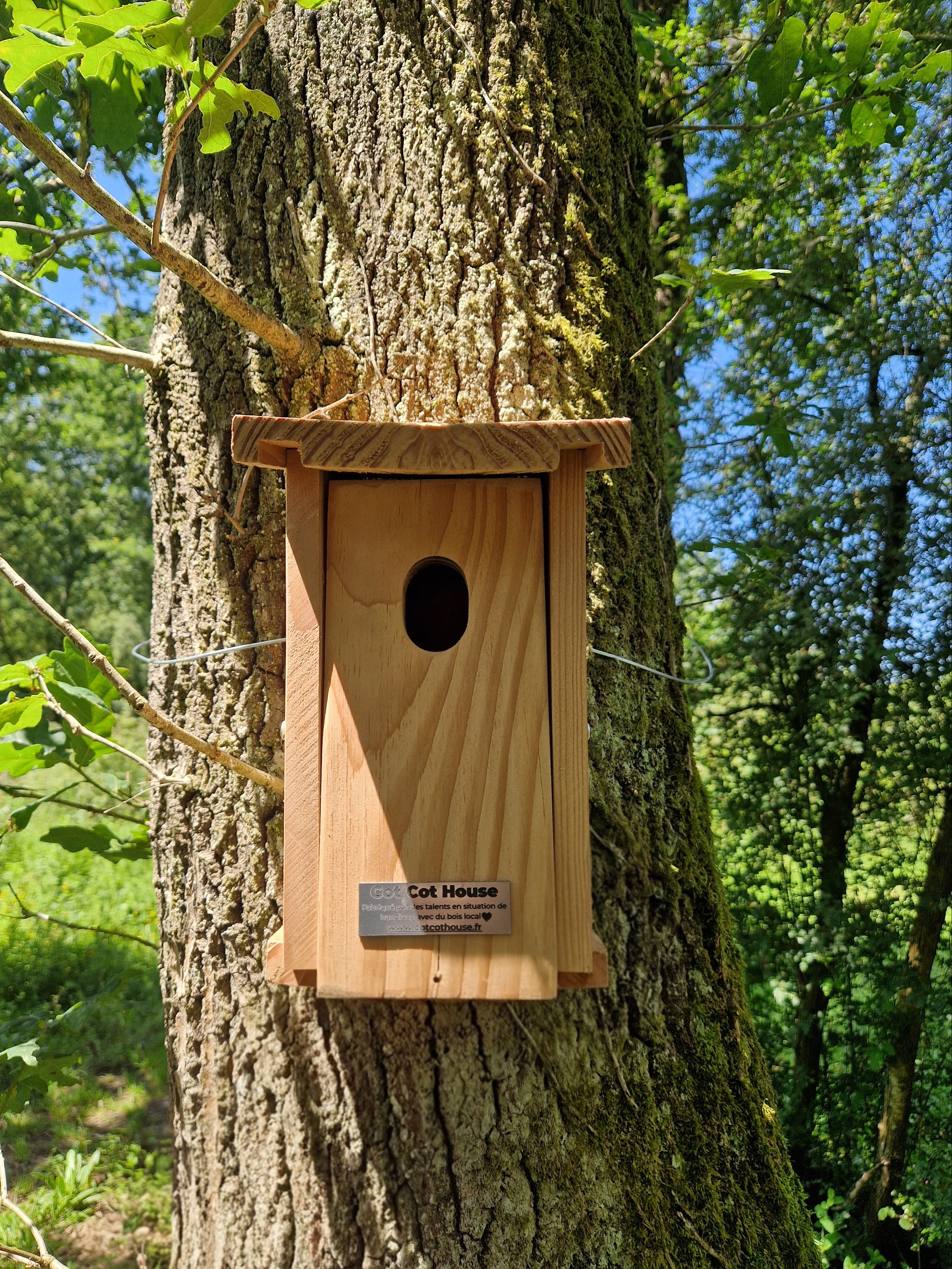 Cot Cot House nichoir oiseaux kit Rouge-Queue bois