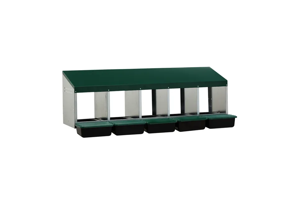 Gaun Volailles pondoir 5 cases fond plastique poules