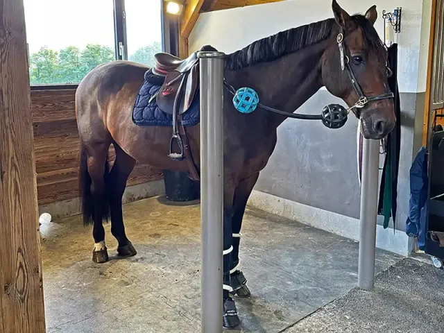 IDS CLIP HORSE dalle écurie caoutchouc aire pansage